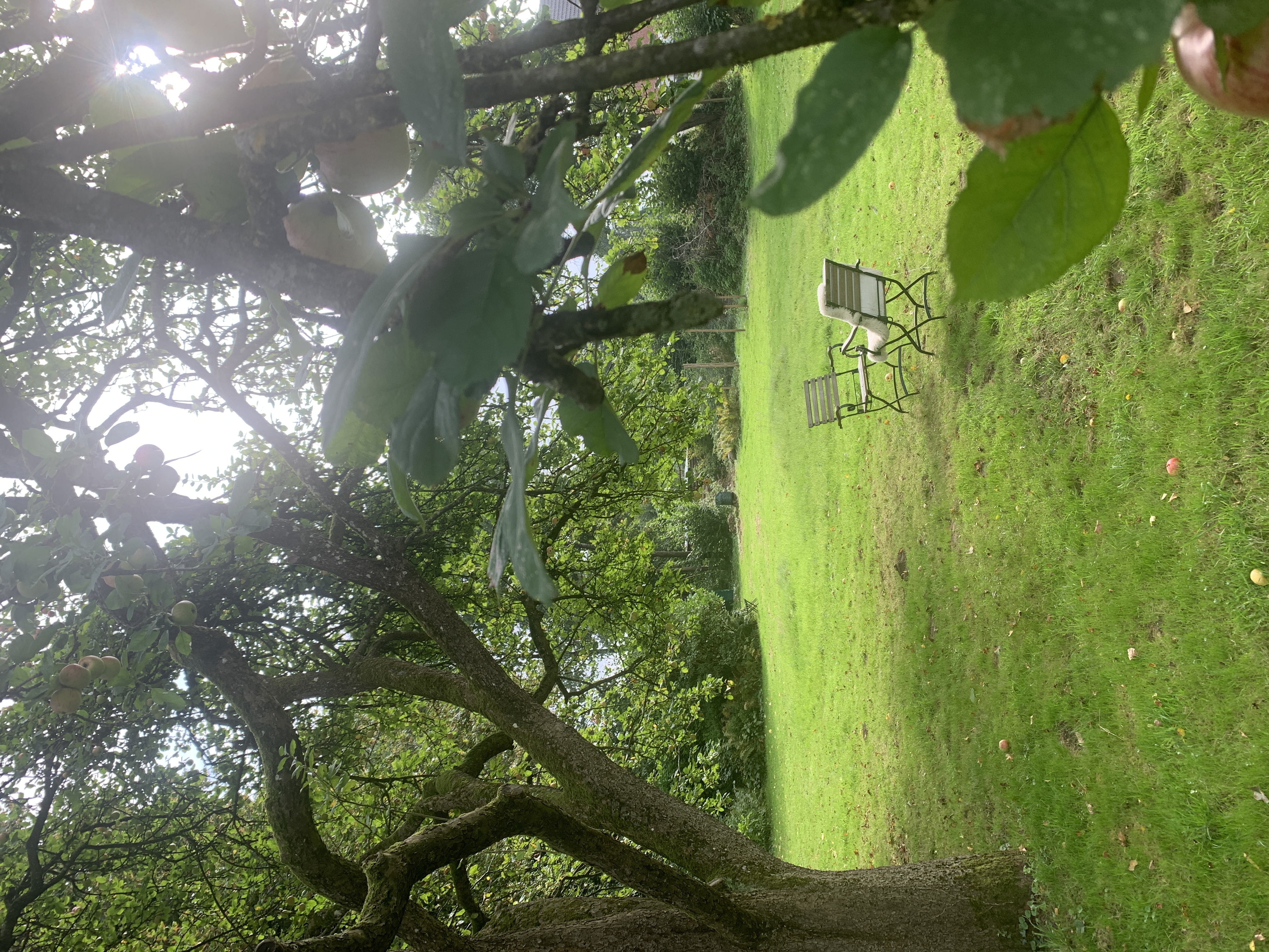 Bild von der Ausstellung